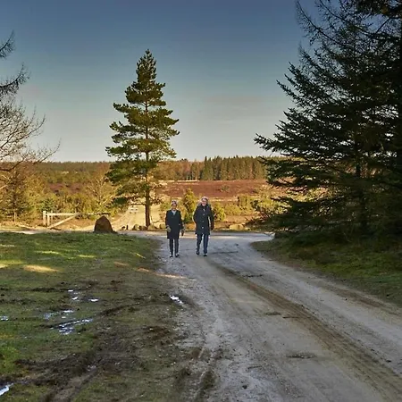 Semesterbostad 5 Star Holiday Home In Hovborg-By Traum *